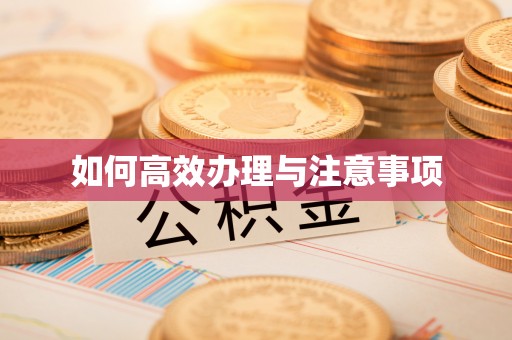 民权如何高效办理与注意事项
