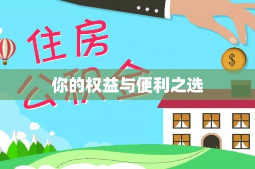 民权你的权益与便利之选