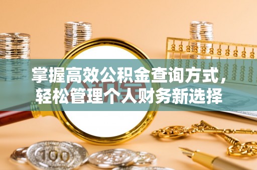 民权掌握高效公积金查询方式，轻松管理个人财务新选择