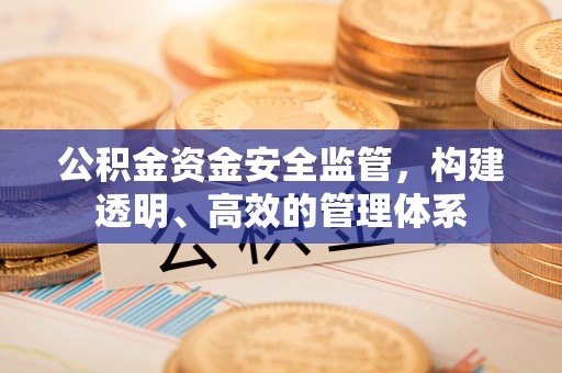 民权公积金资金安全监管，构建透明、高效的管理体系