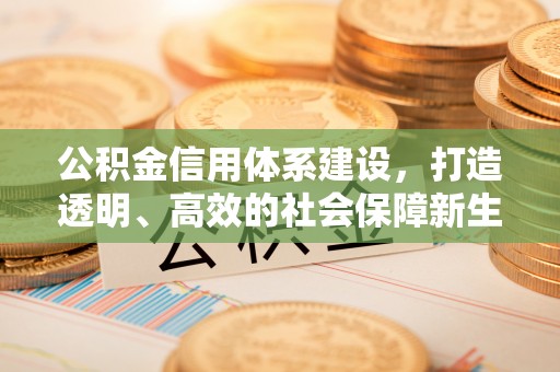 民权公积金信用体系建设，打造透明、高效的社会保障新生态