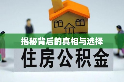 民权揭秘背后的真相与选择