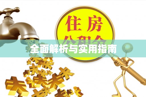 民权全面解析与实用指南