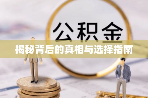 民权揭秘背后的真相与选择指南