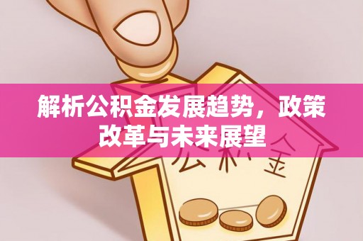 民权解析公积金发展趋势，政策改革与未来展望