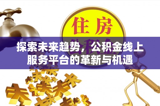 民权探索未来趋势，公积金线上服务平台的革新与机遇