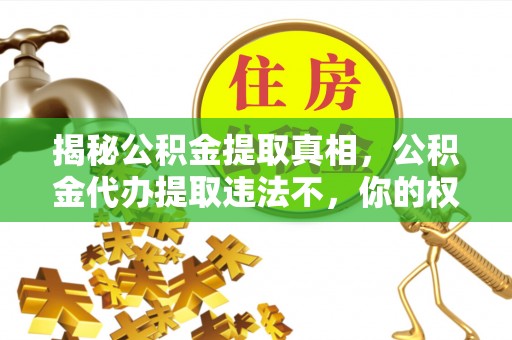 民权揭秘公积金提取真相，公积金代办提取违法不，你的权益如何保障？