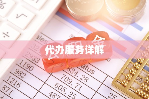 民权代办服务详解