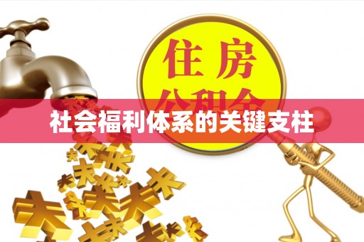 民权社会福利体系的关键支柱