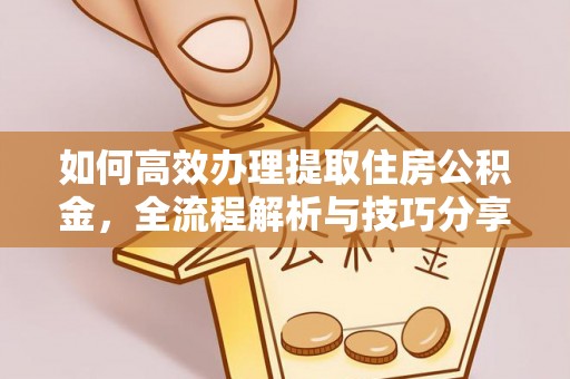 民权如何高效办理提取住房公积金，全流程解析与技巧分享