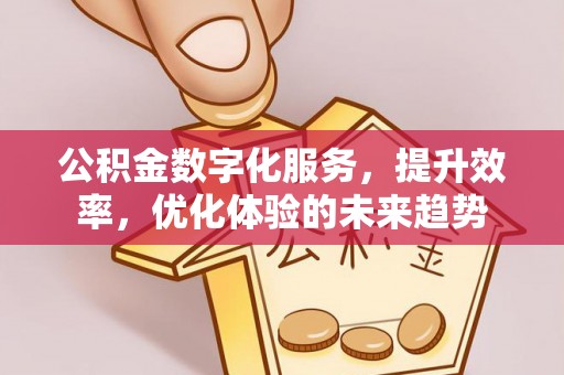 民权公积金数字化服务，提升效率，优化体验的未来趋势