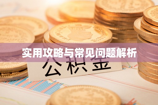 民权实用攻略与常见问题解析