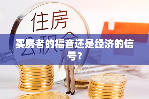 民权买房者的福音还是经济的信号？