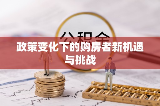 民权政策变化下的购房者新机遇与挑战