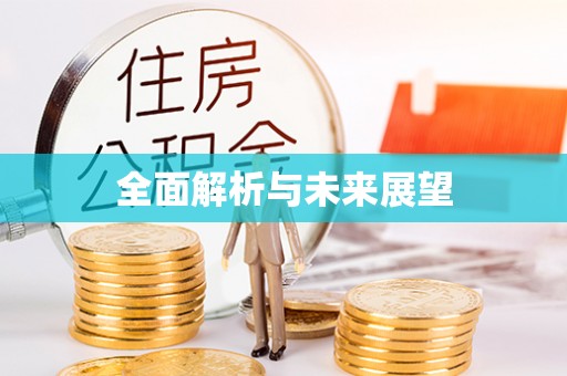 民权全面解析与未来展望