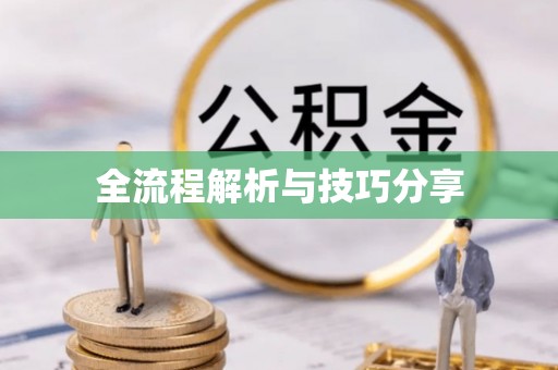 民权全流程解析与技巧分享